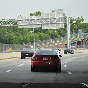 DSC 0008