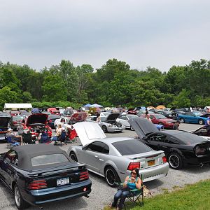 DSC 0074