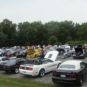 12651.jpg
