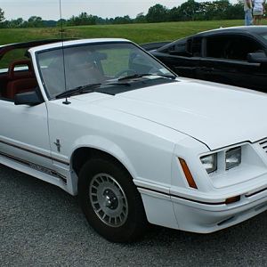 mustang