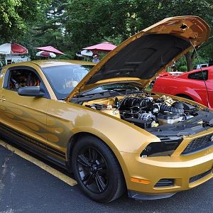v6a