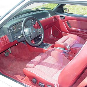 MustangPhotos 006