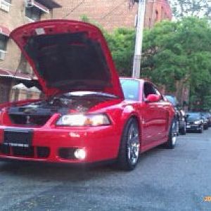 Cobra on Corsa