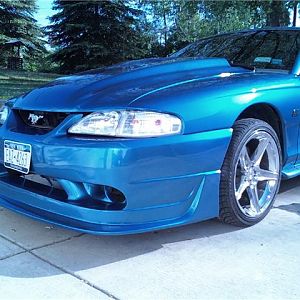 1st day after paint