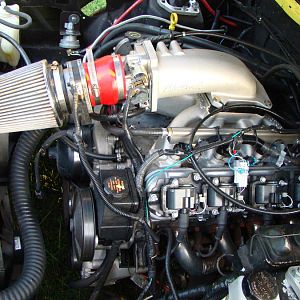 mustang pics 021