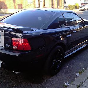 saleen wheels