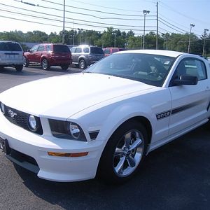 stang