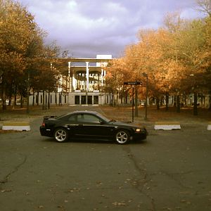 IMG 0072