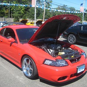 IMG 0646