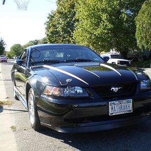 My Stang