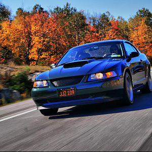 Plattsburgh cruise1