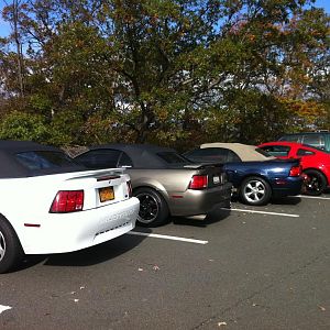 IMG 0056[1]