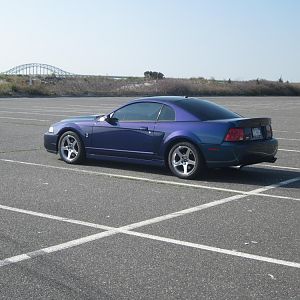 IMG 0459