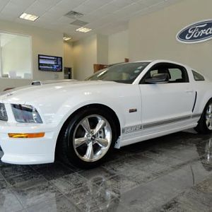shelby