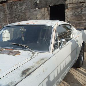 Mustang (4)