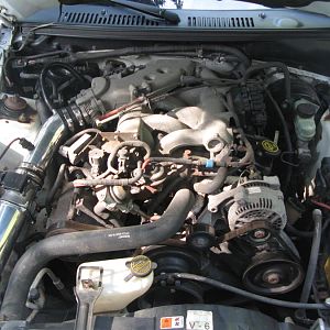 New Cold Air Intake