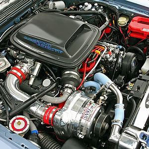 Al's bad86-makes 422 rwhp!!  11.66-119 mph with slicks

functional ram air!!  shaker hood system