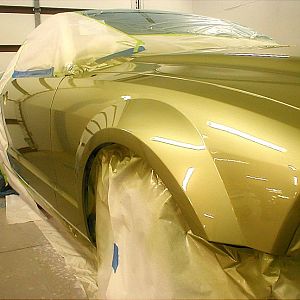 Painted