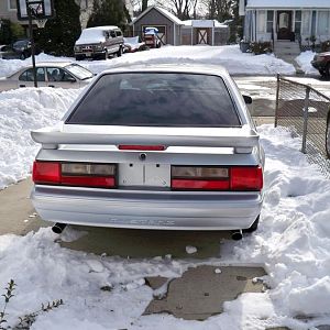 Saleen wing