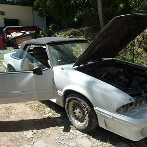 After primer