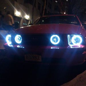 HALO'S