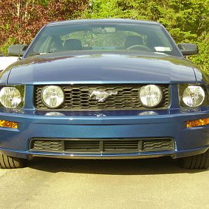 Stang Front