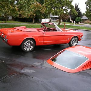 1965 split top fastback convertible
stang has been completly restored