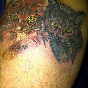 New Ink