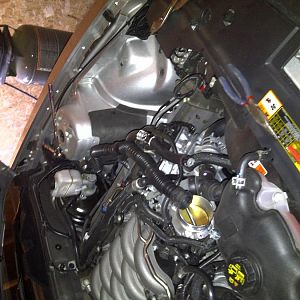IMG 20110414 00087