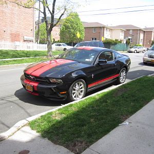 IMG 2781