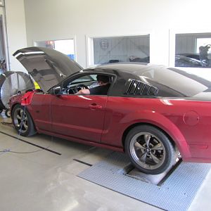 dyno!