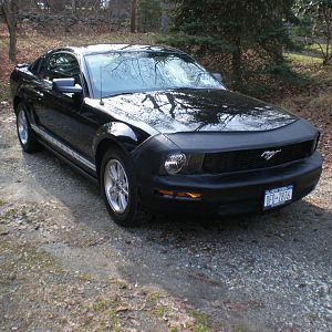 My 2007 Mustang 002