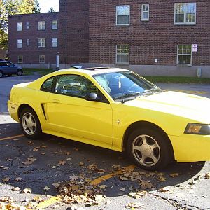 2002 Yellow Mustang (Tweety Bird)
5-Speed G6
75K Miles
Arizona Car
One owner
All Maintenance Records
Security system, moon roof, needs new tires