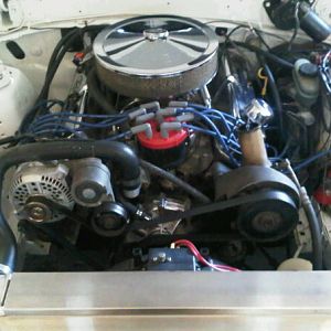 351w in stang
