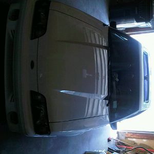 stang 2
