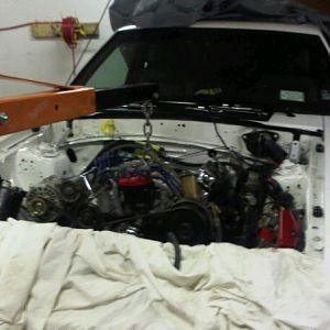 stang 4