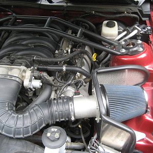 Mustang   Steeda CAI install (3)
:)