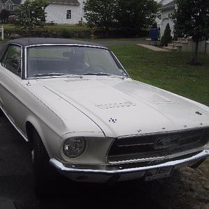 1967stang