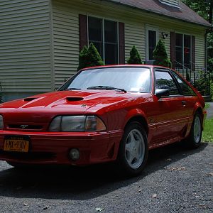 DSC 7165