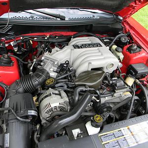 STOCK 0238 COBRA