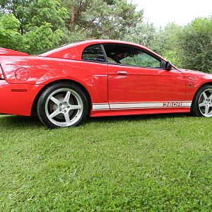 ROUSH