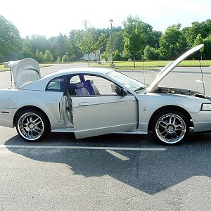 1999mustanggt13