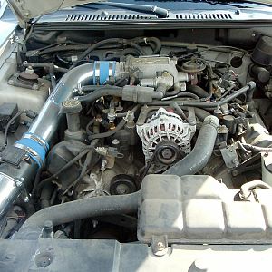 1999mustanggt12