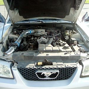 1999mustanggt11