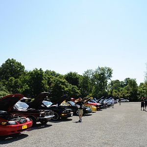 DSC 0072