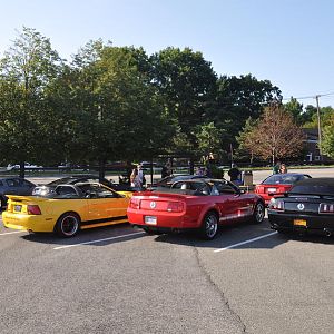 DSC 0001