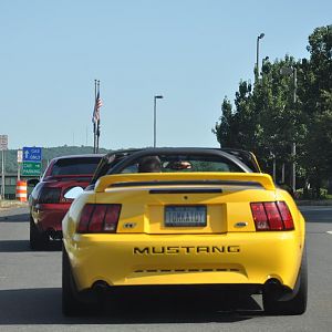 DSC 0062