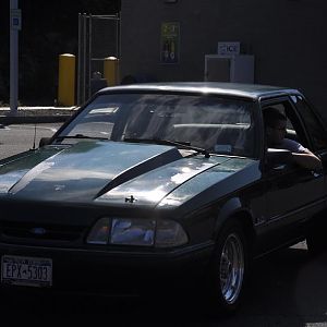 DSC 0065