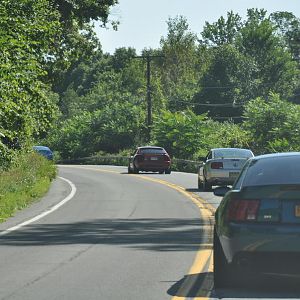 DSC 0100
