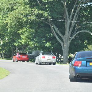 DSC 0126